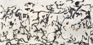 birds egg - common murre